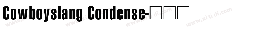 Cowboyslang Condense字体转换